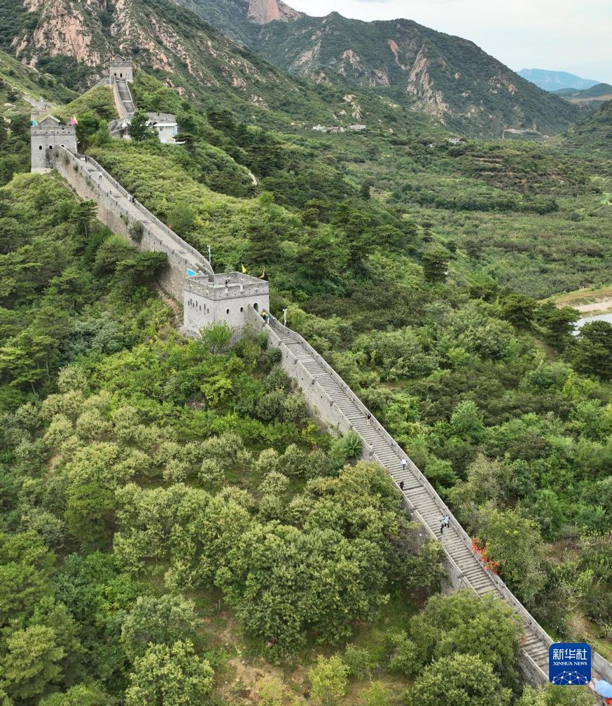 捕鱼源码分享网